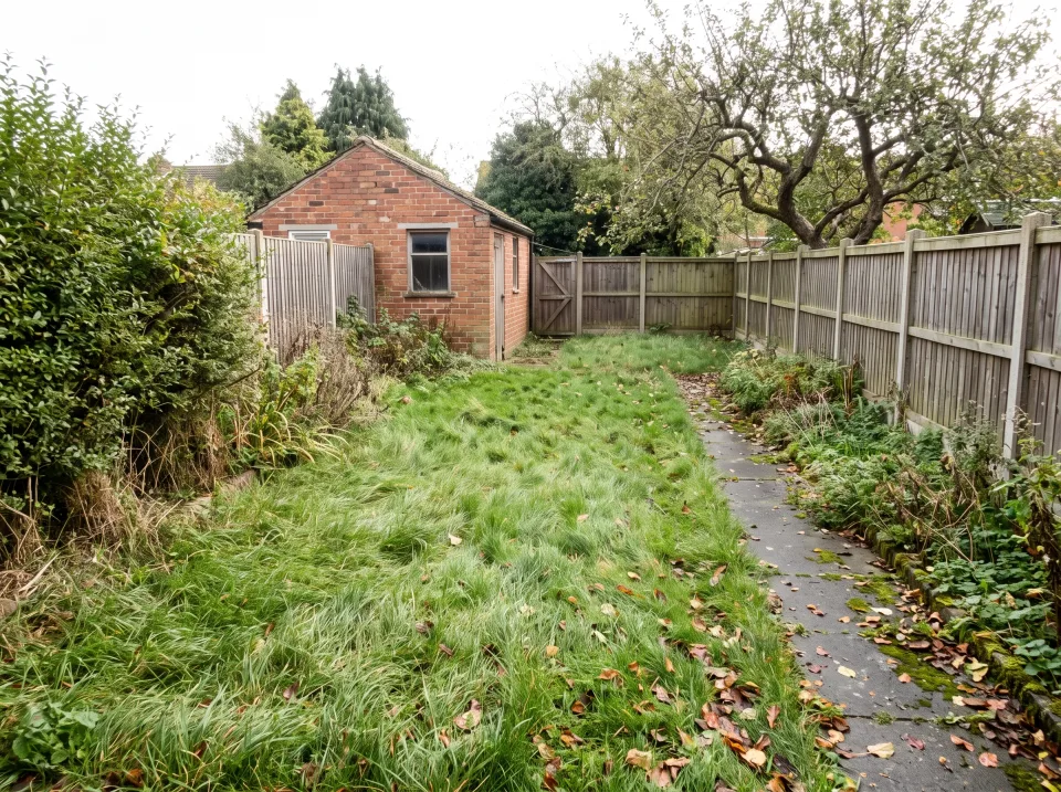 Garden before